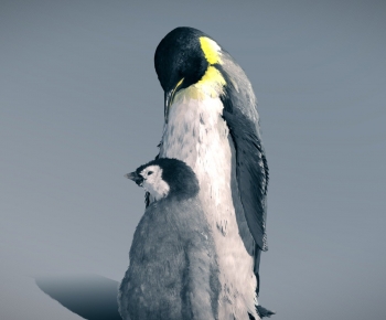 Modern Animal-ID:353075983