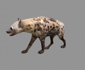 Modern Animal-ID:956526996