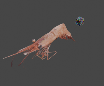 Modern Animal-ID:563972953