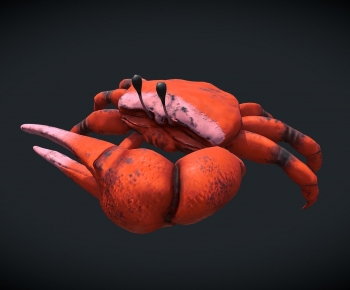 Modern Animal-ID:570761922