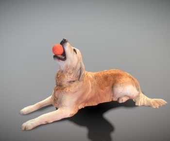 Modern Animal Dog-ID:853179933