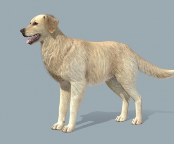 Modern Animal Dog-ID:364284991