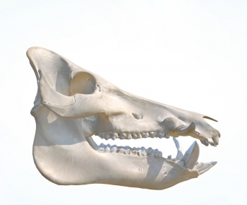 Modern Medical Equipment-ID:962893961