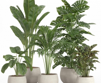 Modern Ground Green Plant Potted Plants-ID:555735112