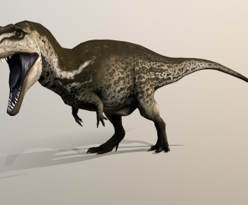 Modern Other Animals-ID:127367977