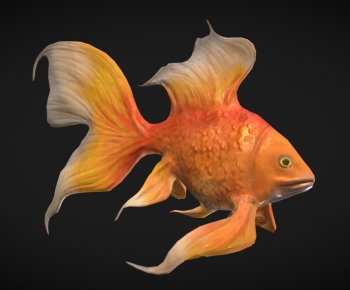 Modern Animal-ID:128880981
