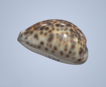Modern Animal-ID:103413111