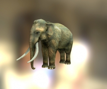 Modern Animal-ID:124664077