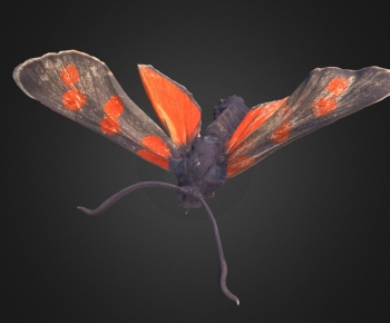Modern Animal-ID:311827906