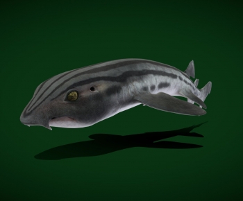 Modern Aquatic Animals-ID:307580954