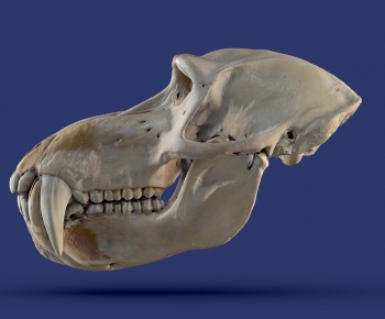 Modern Medical Equipment-ID:372821097