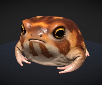 Modern Aquatic Animals-ID:998411894