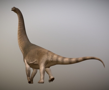Modern Animal-ID:152101042