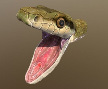 Modern Animal-ID:201085094