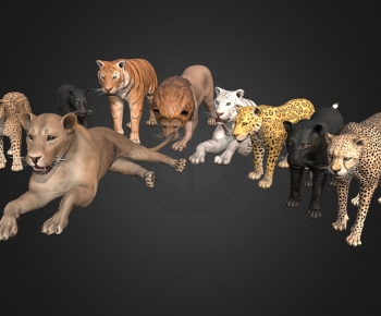Modern Animal-ID:898333071