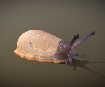 Modern Animal-ID:572922954