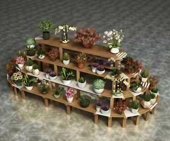 Modern Showcase-ID:557185893