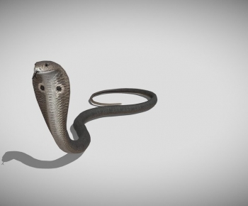 Modern Reptile-ID:642800094