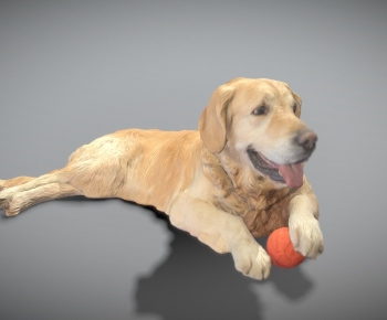 Modern Animal Dog-ID:942974096