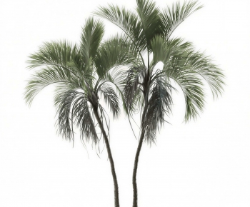 Modern Tree-ID:301990515