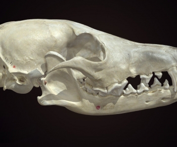 Modern Medical Equipment-ID:749049907