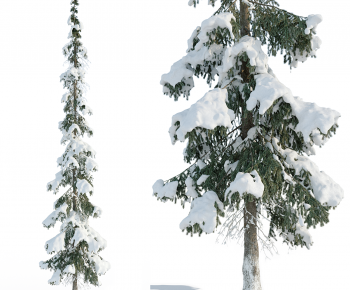 Modern Tree-ID:560878041