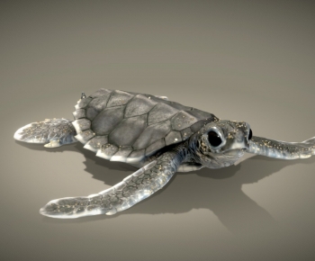 Modern Reptile-ID:755171065