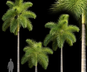 Modern Tree-ID:581643108