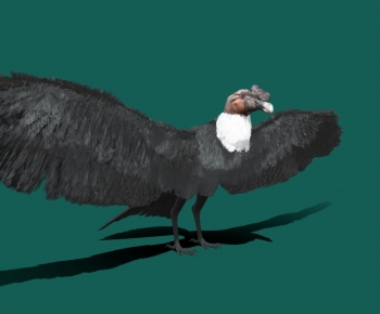 Modern Flying Animals-ID:642070066
