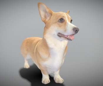 Modern Mammal-ID:157162903