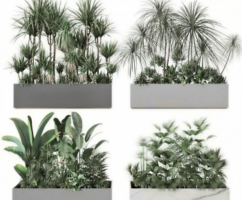 Modern Shrubbery-ID:420520379