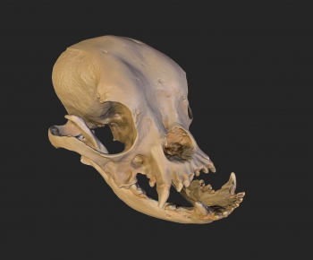 Modern Medical Equipment-ID:750617036