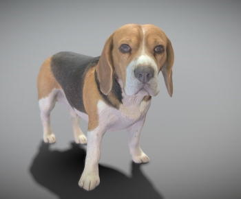 Modern Animal Dog-ID:926368951