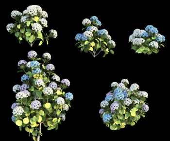 Modern Flowers And Grass-ID:152661092