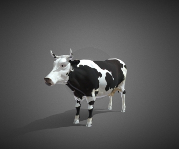 Modern Animal-ID:375179054