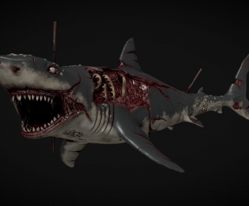 Modern Aquatic Animals-ID:739300016