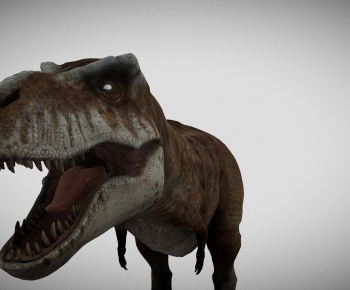 Modern Animal-ID:393440018