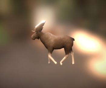 Modern Animal-ID:318846944