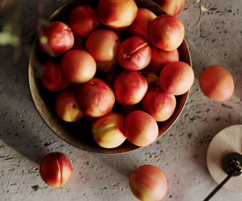 Modern Fruit-ID:280848988