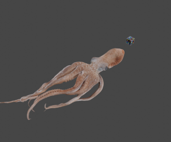 Modern Animal-ID:680859142