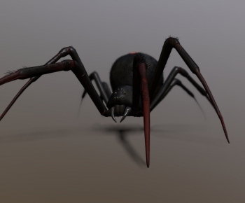 Modern Reptile-ID:207556019