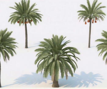 Modern Tree-ID:992430932