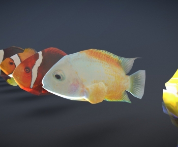 Modern Aquatic Animals-ID:245409045