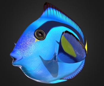 Modern Aquatic Animals-ID:184361937