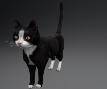 Modern Animal-ID:152867084