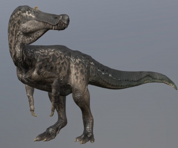 Modern Other Animals-ID:784473906