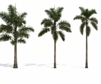 Modern Tree-ID:407888897