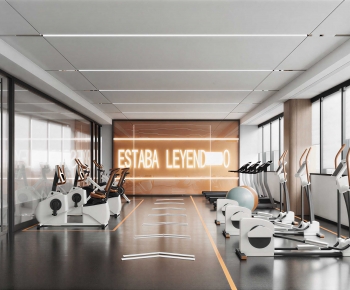 Modern Gym-ID:911684047