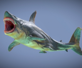 Modern Aquatic Animals-ID:300955062
