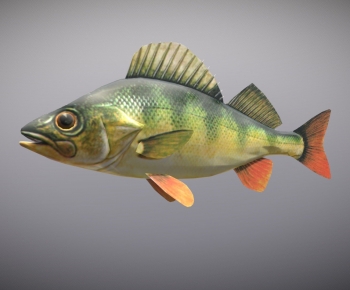 Modern Aquatic Product-ID:297921905